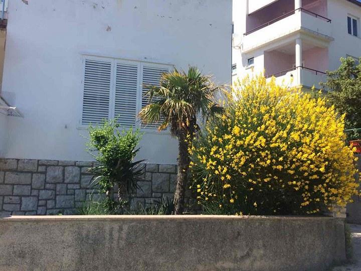 Apartment Ella Banjol Exterior foto
